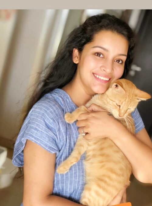Caregiver holding a rescued cat
